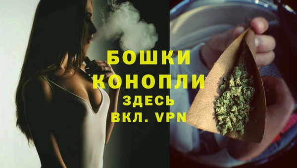 PSILOCYBIN Абаза