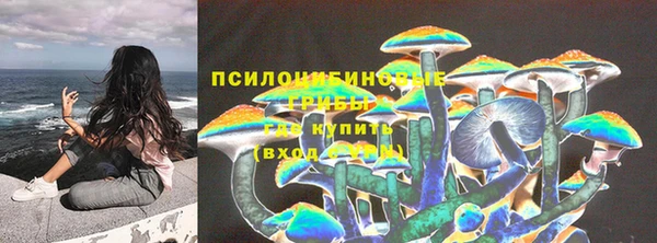PSILOCYBIN Абаза