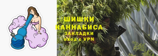 PSILOCYBIN Абаза