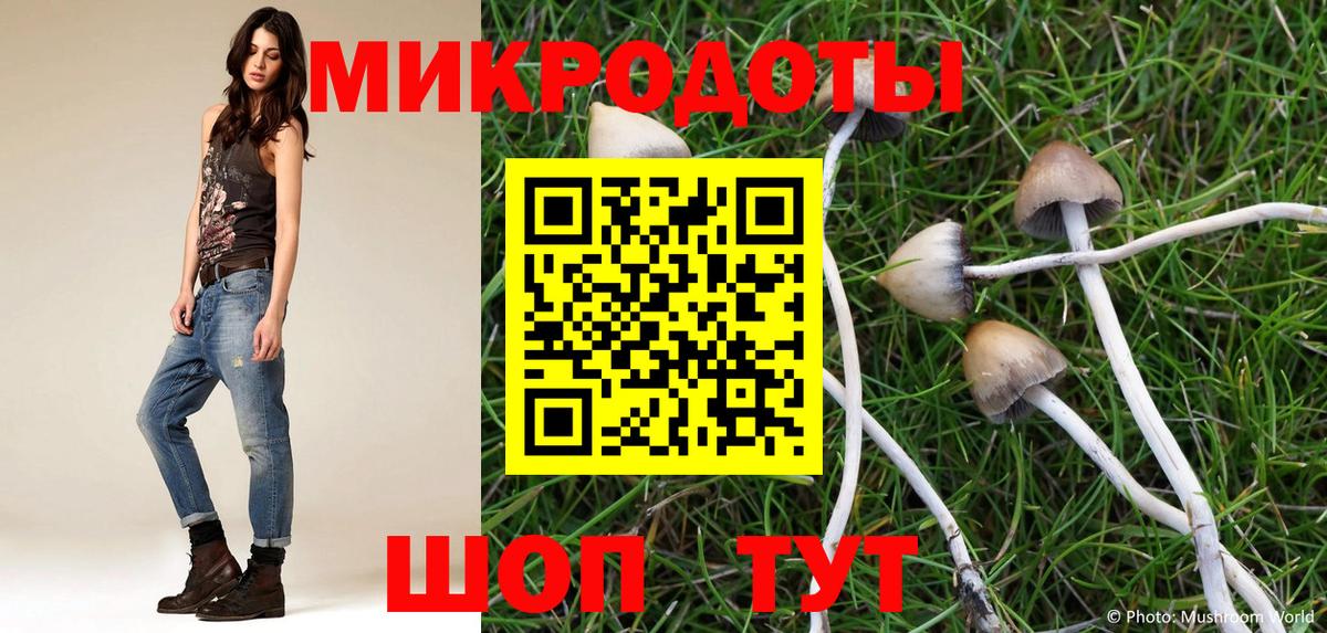 Галлюциногенные грибы прущие грибы Кизляр